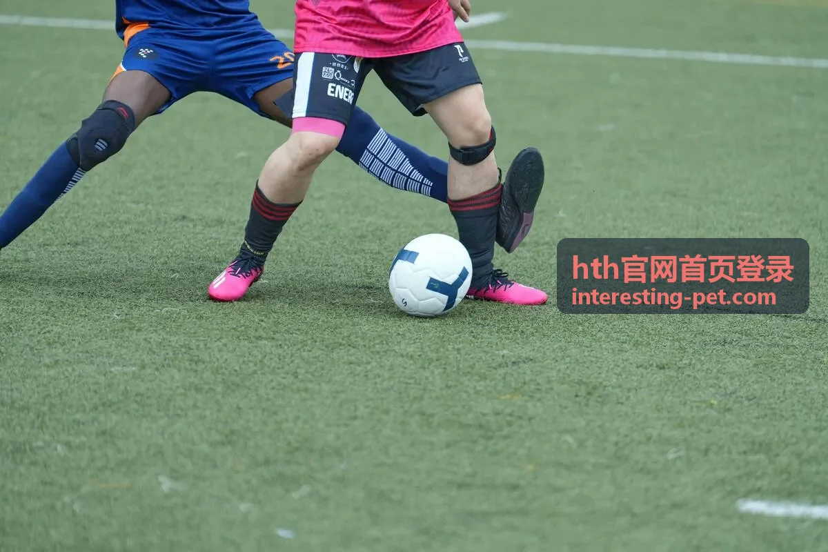 hth官网首页登录入口界面示意