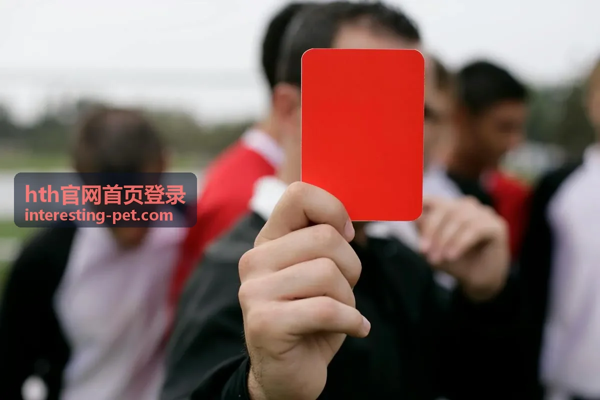 hth官网首页登录异常排查配图