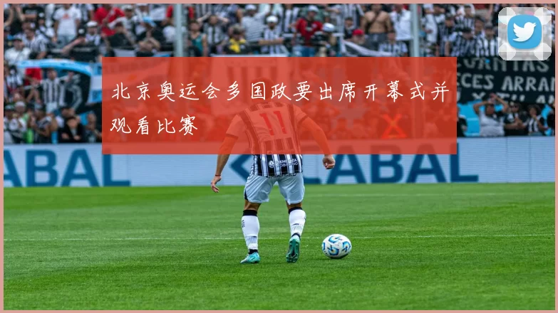 北京奥运会多国政要出席开幕式并观看比赛